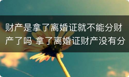 财产是拿了离婚证就不能分财产了吗 拿了离婚证财产没有分怎么办