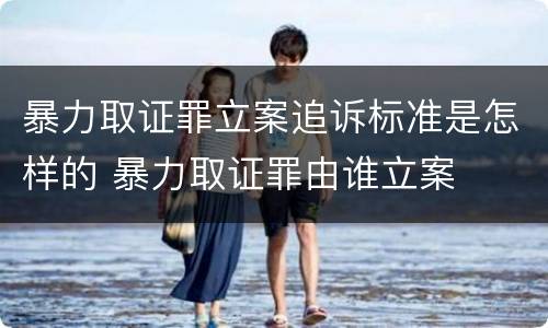 暴力取证罪立案追诉标准是怎样的 暴力取证罪由谁立案