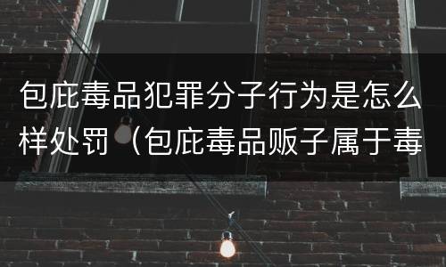 包庇毒品犯罪分子行为是怎么样处罚（包庇毒品贩子属于毒品犯罪吗）