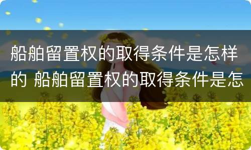 船舶留置权的取得条件是怎样的 船舶留置权的取得条件是怎样的呢