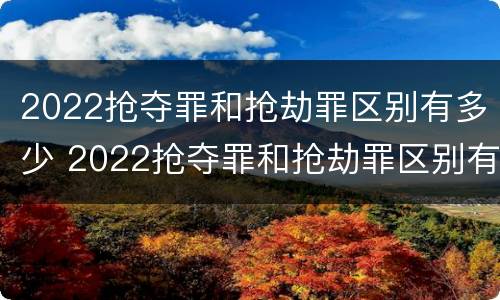 2022抢夺罪和抢劫罪区别有多少 2022抢夺罪和抢劫罪区别有多少种