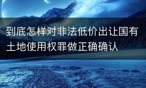 到底怎样对非法低价出让国有土地使用权罪做正确确认