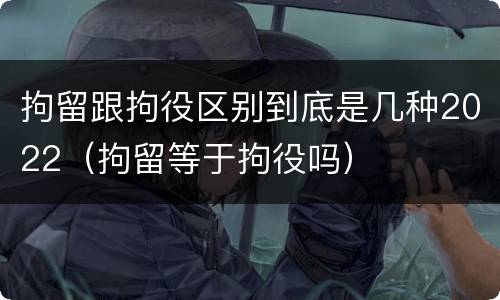 拘留跟拘役区别到底是几种2022（拘留等于拘役吗）
