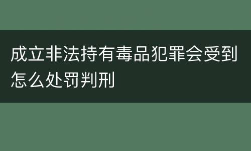 成立非法持有毒品犯罪会受到怎么处罚判刑