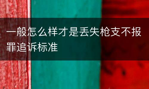 一般怎么样才是丢失枪支不报罪追诉标准