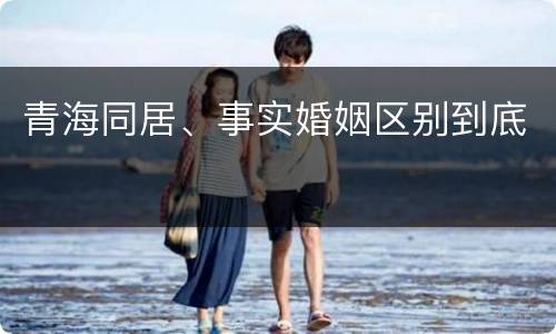 青海同居、事实婚姻区别到底