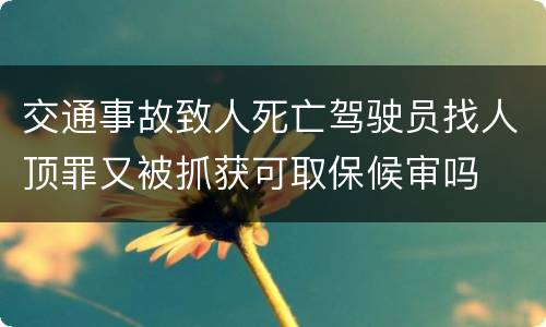 交通事故致人死亡驾驶员找人顶罪又被抓获可取保候审吗