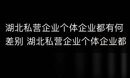 湖北私营企业个体企业都有何差别 湖北私营企业个体企业都有何差别呢