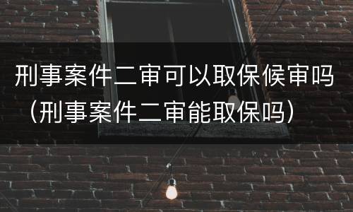 刑事案件二审可以取保候审吗（刑事案件二审能取保吗）