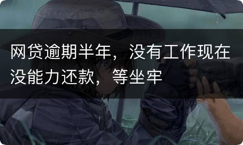 网贷逾期半年，没有工作现在没能力还款，等坐牢