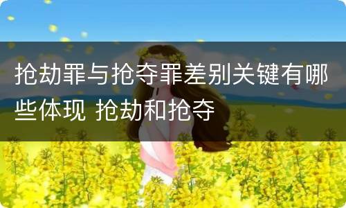 抢劫罪与抢夺罪差别关键有哪些体现 抢劫和抢夺