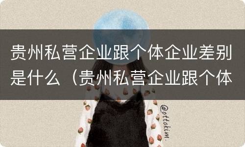 贵州私营企业跟个体企业差别是什么（贵州私营企业跟个体企业差别是什么样的）