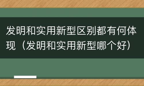 发明和实用新型区别都有何体现（发明和实用新型哪个好）