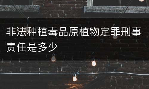 非法种植毒品原植物定罪刑事责任是多少