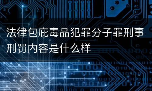 法律包庇毒品犯罪分子罪刑事刑罚内容是什么样