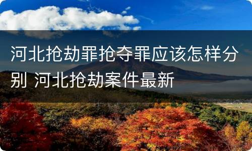 河北抢劫罪抢夺罪应该怎样分别 河北抢劫案件最新