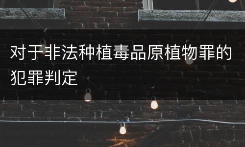 对于非法种植毒品原植物罪的犯罪判定