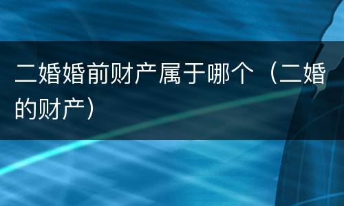 二婚婚前财产属于哪个（二婚的财产）