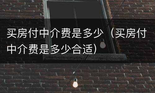 买房付中介费是多少（买房付中介费是多少合适）