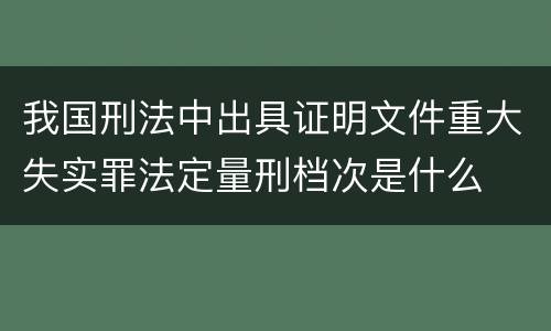 我国刑法中出具证明文件重大失实罪法定量刑档次是什么