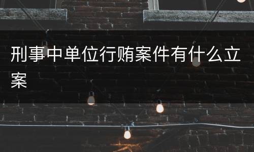 刑事中单位行贿案件有什么立案