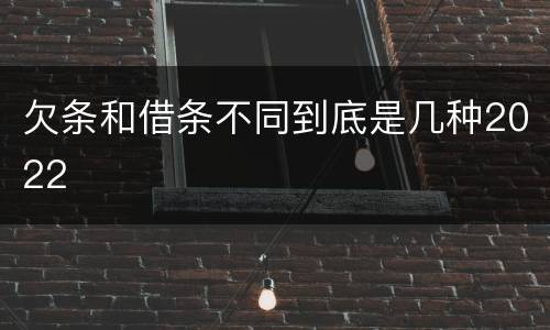 欠条和借条不同到底是几种2022