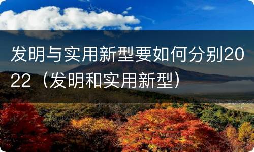 发明与实用新型要如何分别2022（发明和实用新型）