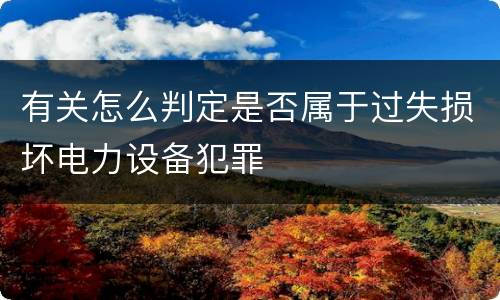 有关怎么判定是否属于过失损坏电力设备犯罪