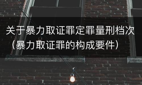 关于暴力取证罪定罪量刑档次（暴力取证罪的构成要件）