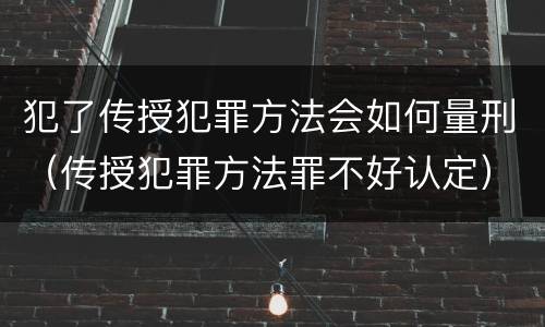 犯了传授犯罪方法会如何量刑（传授犯罪方法罪不好认定）