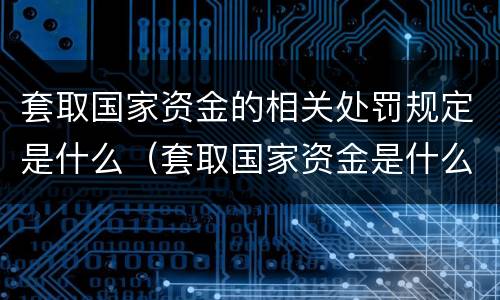 套取国家资金的相关处罚规定是什么（套取国家资金是什么罪）
