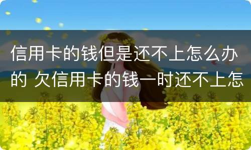 信用卡的钱但是还不上怎么办的 欠信用卡的钱一时还不上怎么办