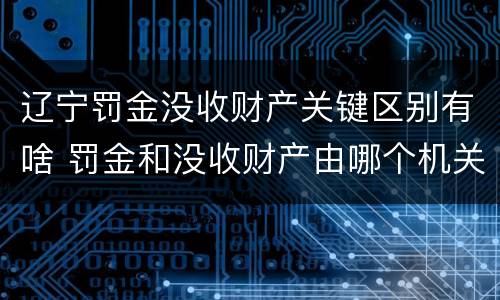 辽宁罚金没收财产关键区别有啥 罚金和没收财产由哪个机关执行