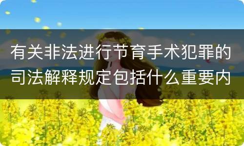 有关非法进行节育手术犯罪的司法解释规定包括什么重要内容