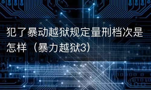 犯了暴动越狱规定量刑档次是怎样（暴力越狱3）
