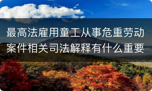 最高法雇用童工从事危重劳动案件相关司法解释有什么重要内容