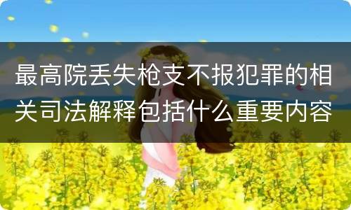 最高院丢失枪支不报犯罪的相关司法解释包括什么重要内容