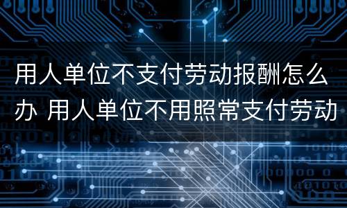 用人单位不支付劳动报酬怎么办 用人单位不用照常支付劳动者工资报酬