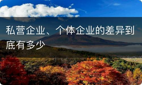私营企业、个体企业的差异到底有多少