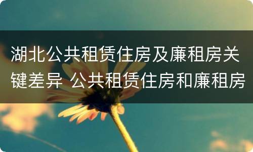 湖北公共租赁住房及廉租房关键差异 公共租赁住房和廉租房