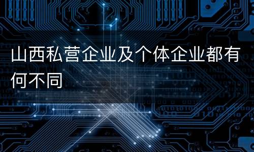 山西私营企业及个体企业都有何不同