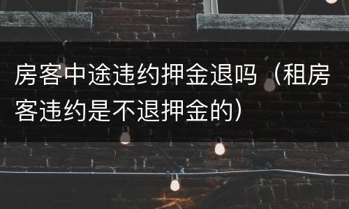 房客中途违约押金退吗（租房客违约是不退押金的）