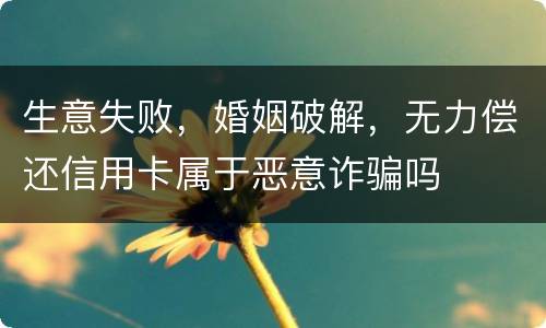 生意失败，婚姻破解，无力偿还信用卡属于恶意诈骗吗