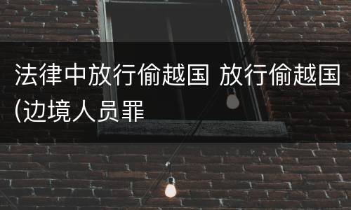 法律中放行偷越国 放行偷越国(边境人员罪