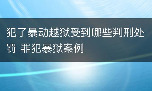 犯了暴动越狱受到哪些判刑处罚 罪犯暴狱案例