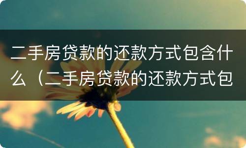 二手房贷款的还款方式包含什么（二手房贷款的还款方式包含什么费用）