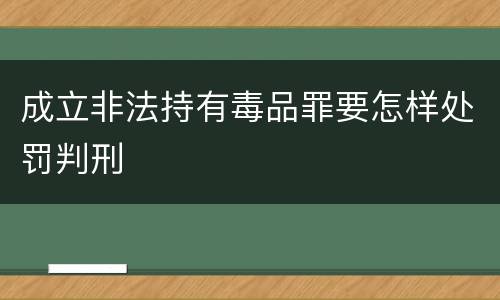 成立非法持有毒品罪要怎样处罚判刑