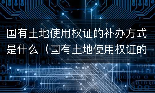 国有土地使用权证的补办方式是什么（国有土地使用权证的补办方式是什么呢）