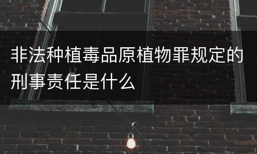 非法种植毒品原植物罪规定的刑事责任是什么