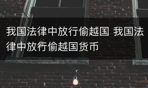 我国法律中放行偷越国 我国法律中放行偷越国货币